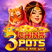 3 China Pots